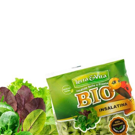 <p>La linea di insalatine Biologiche coltivate in serre protette</p>
