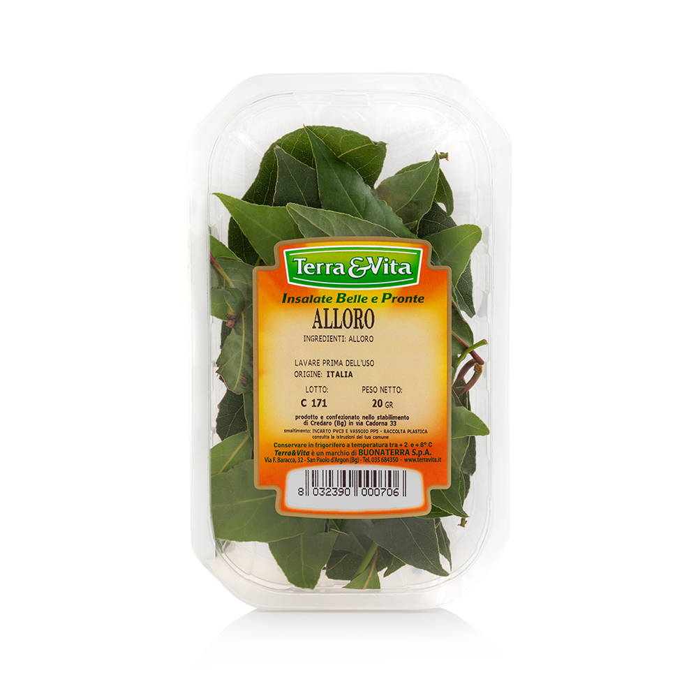 500 Semi Di Prezzemolo Nano Riccio - Varietà Compatta Per Vaso, Aroma Forte, Germinazione Garantita
