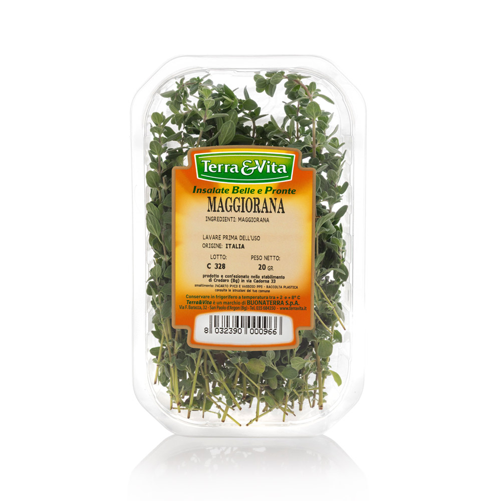 Maggiorana